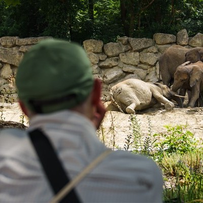 Jane Goodall Intézetek találkozója Bécsben az EUPP4 projekt keretében