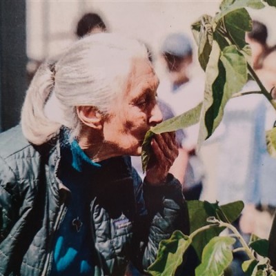 Jane Goodall Intézetek találkozója Bécsben az EUPP4 projekt keretében