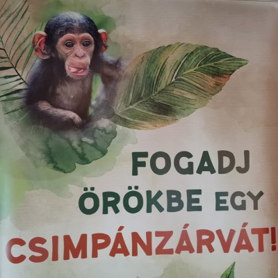 Ugandai kávéest